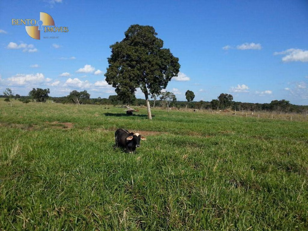 Fazenda de 697 ha em Cuiabá, MT