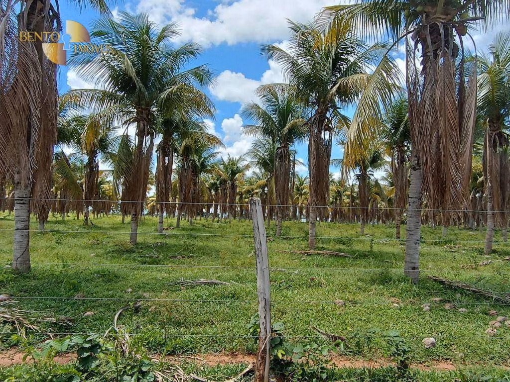 Fazenda de 697 ha em Cuiabá, MT