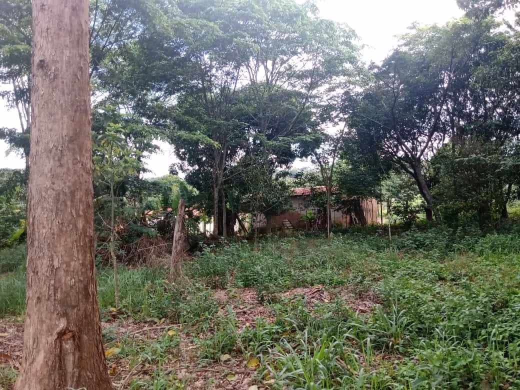 Sítio de 34 ha em Angatuba, SP