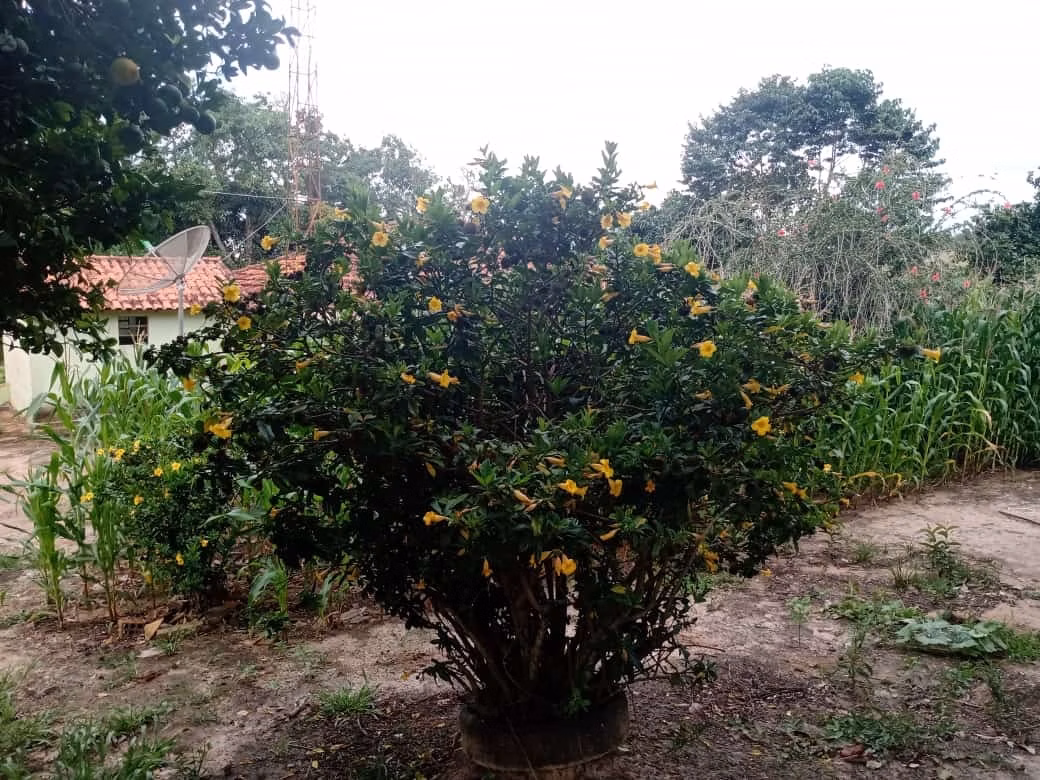 Sítio de 34 ha em Angatuba, SP
