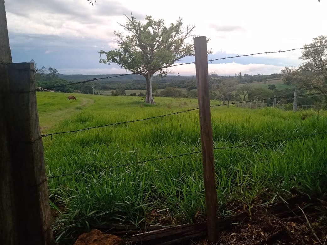 Sítio de 34 ha em Angatuba, SP