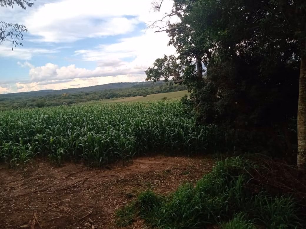 Sítio de 34 ha em Angatuba, SP