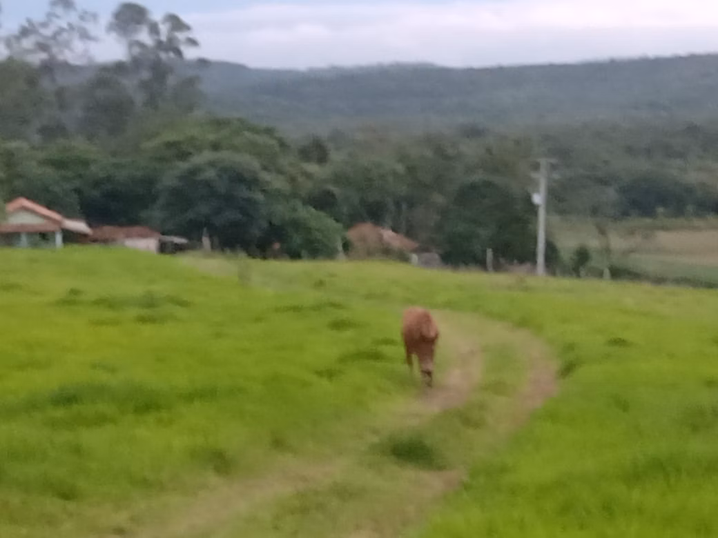 Sítio de 34 ha em Angatuba, SP