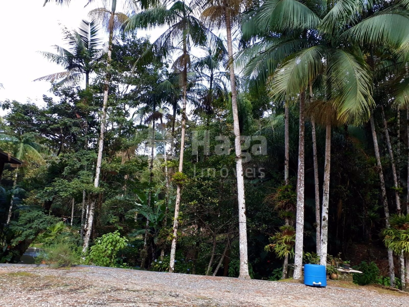 Fazenda de 21 ha em Guabiruba, SC