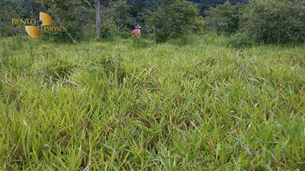 Fazenda de 1.750 ha em Nova Brasilândia, MT