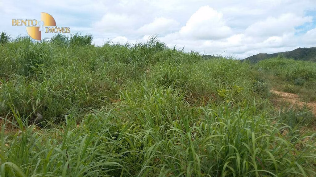 Fazenda de 1.750 ha em Nova Brasilândia, MT