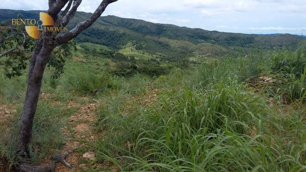 Fazenda de 1.750 ha em Nova Brasilândia, MT