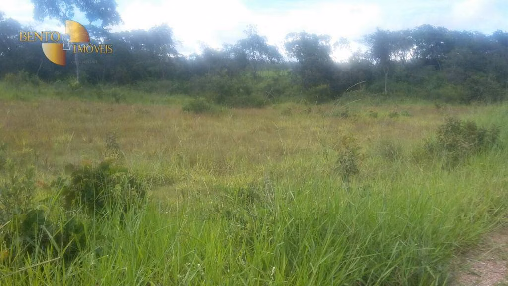 Fazenda de 1.750 ha em Nova Brasilândia, MT