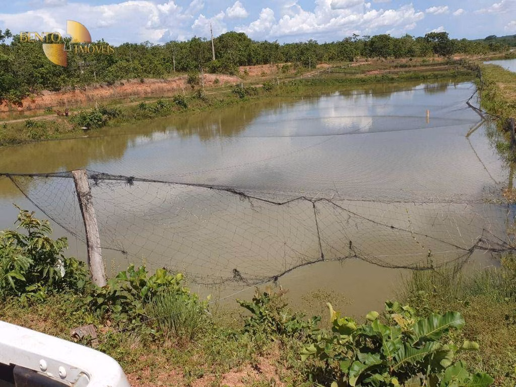 Fazenda de 470 ha em Cuiabá, MT