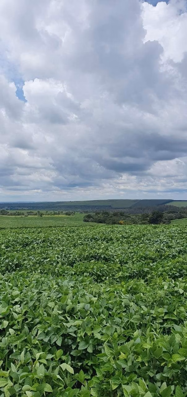 Fazenda de 172 ha em Bauru, SP