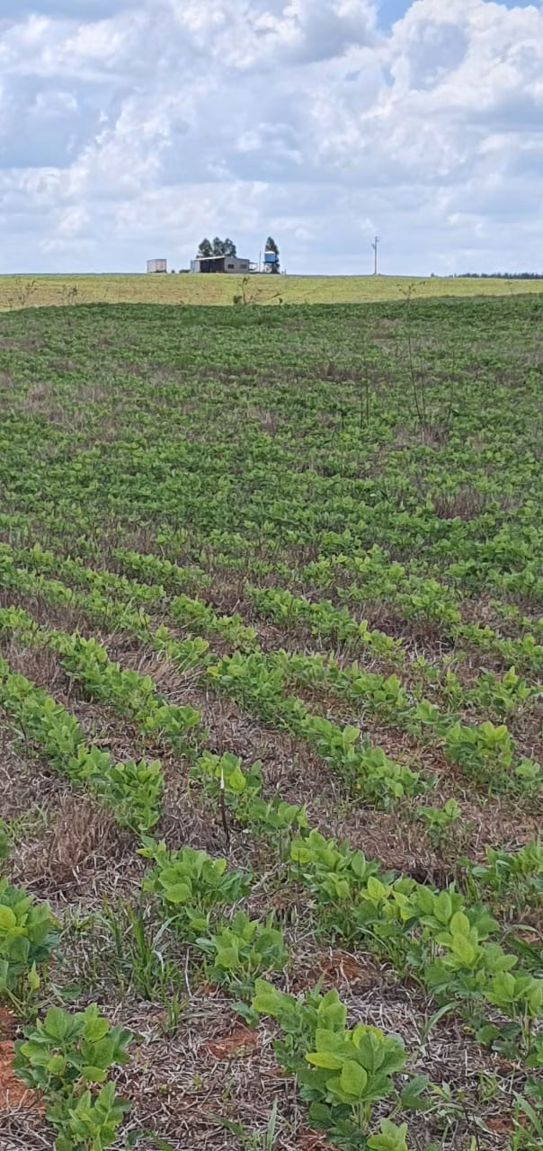 Fazenda de 172 ha em Bauru, SP