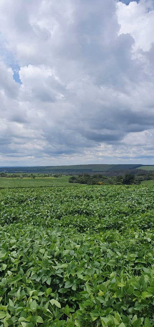 Fazenda de 172 ha em Bauru, SP