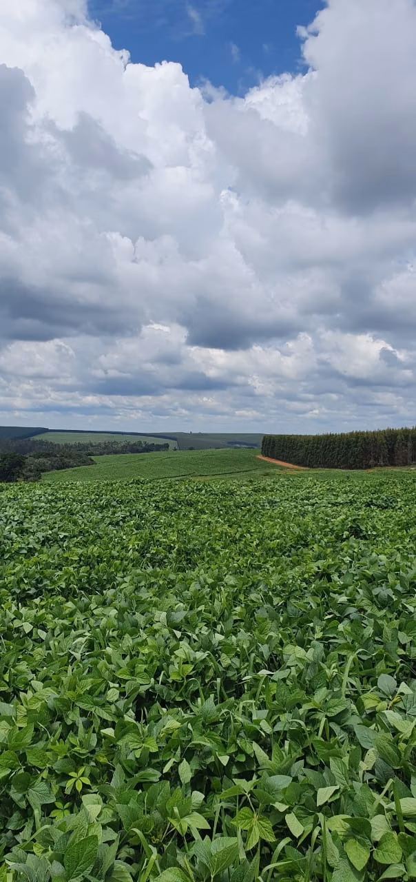 Fazenda de 172 ha em Bauru, SP