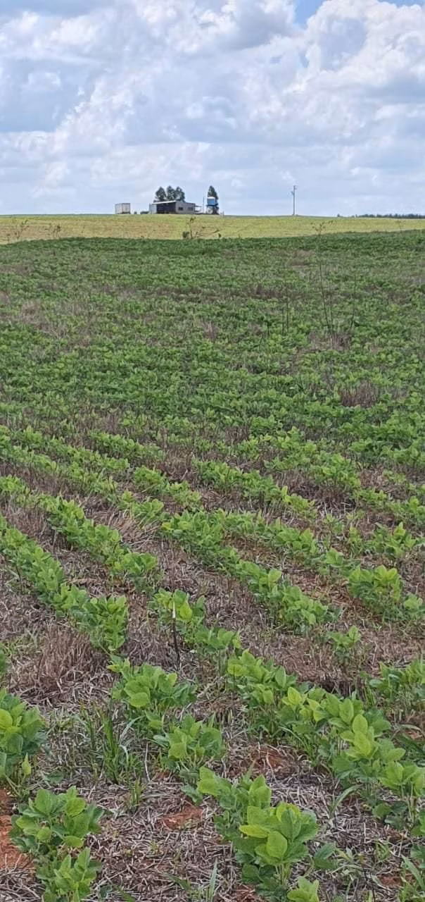 Fazenda de 172 ha em Bauru, SP