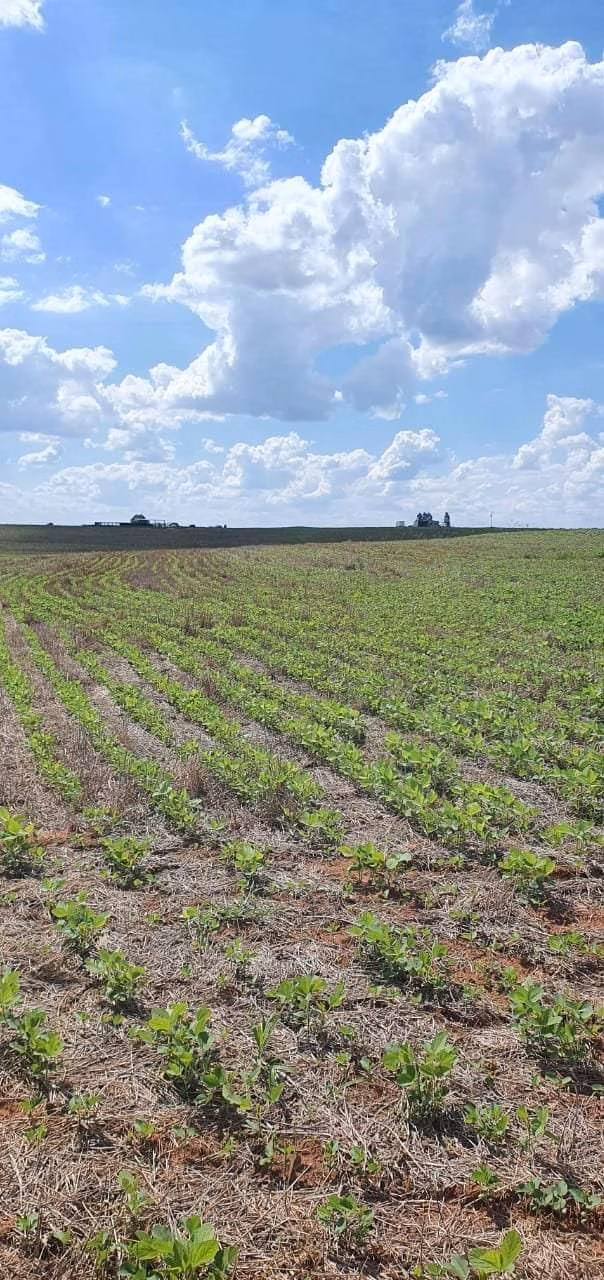 Fazenda de 172 ha em Bauru, SP