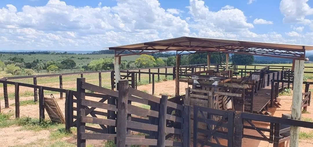 Fazenda de 172 ha em Bauru, SP