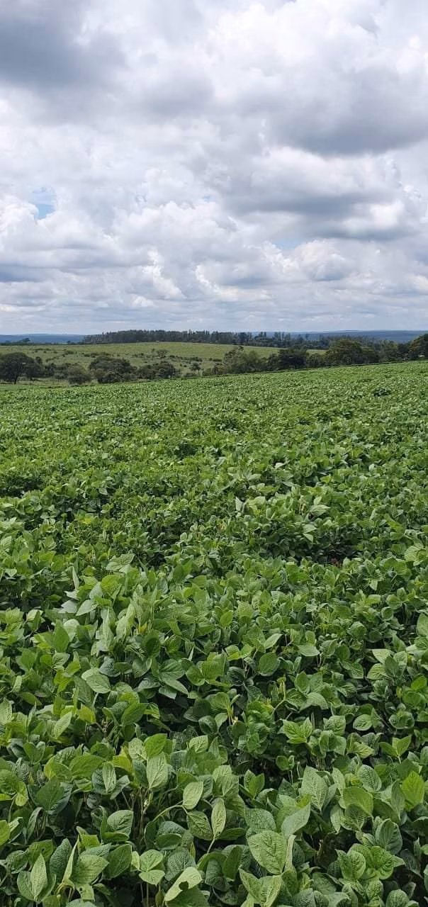 Fazenda de 172 ha em Bauru, SP