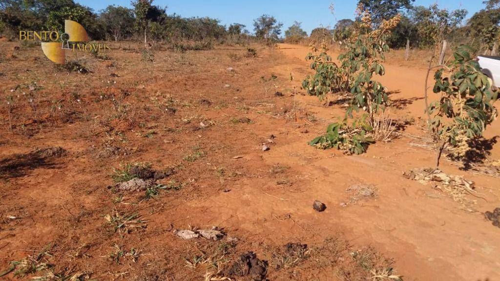 Fazenda de 1.000 ha em Paranatinga, MT