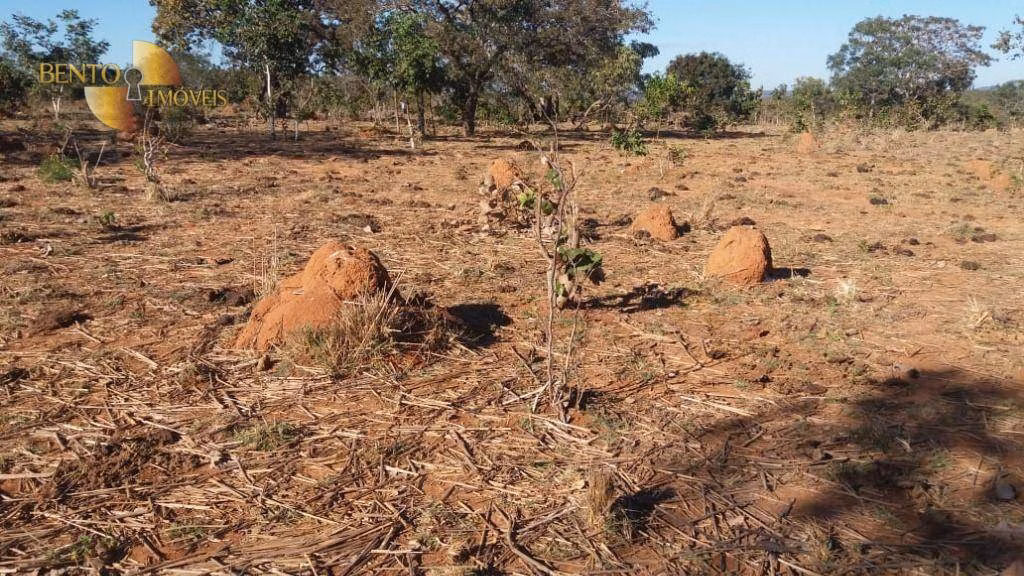 Fazenda de 1.000 ha em Paranatinga, MT