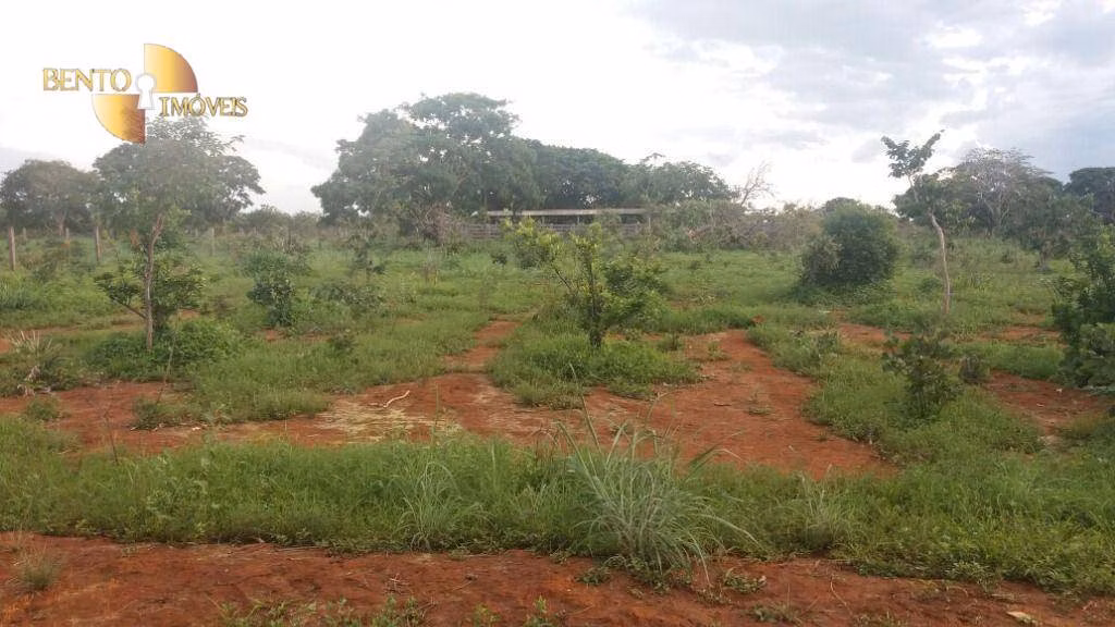 Fazenda de 1.000 ha em Paranatinga, MT