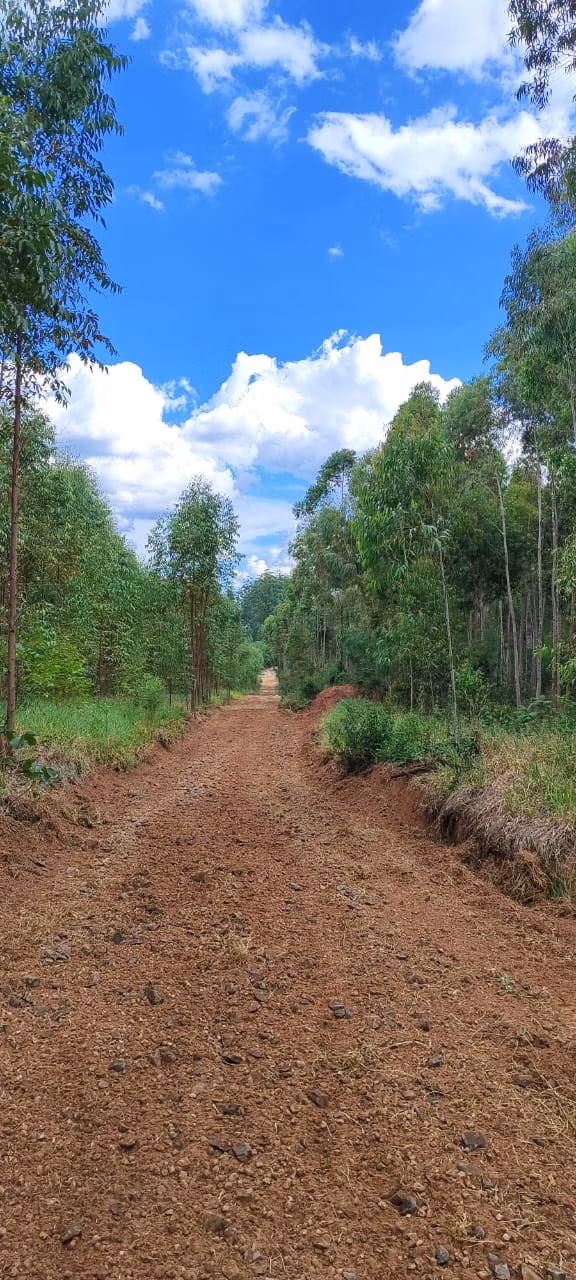 Fazenda à venda de 169 ha em Pratânia, SP