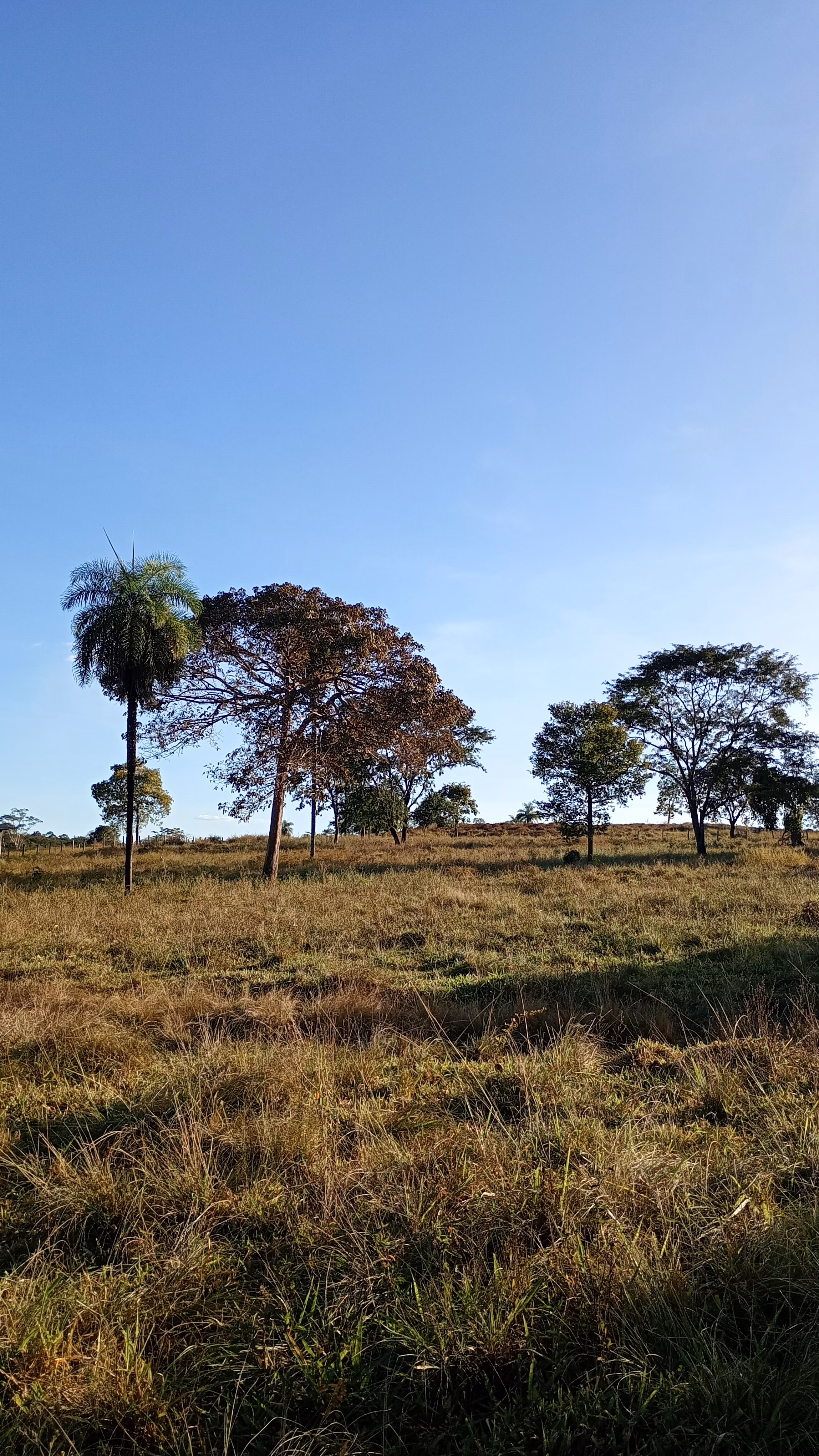 Chácara de 10 ha em Itacajá, TO
