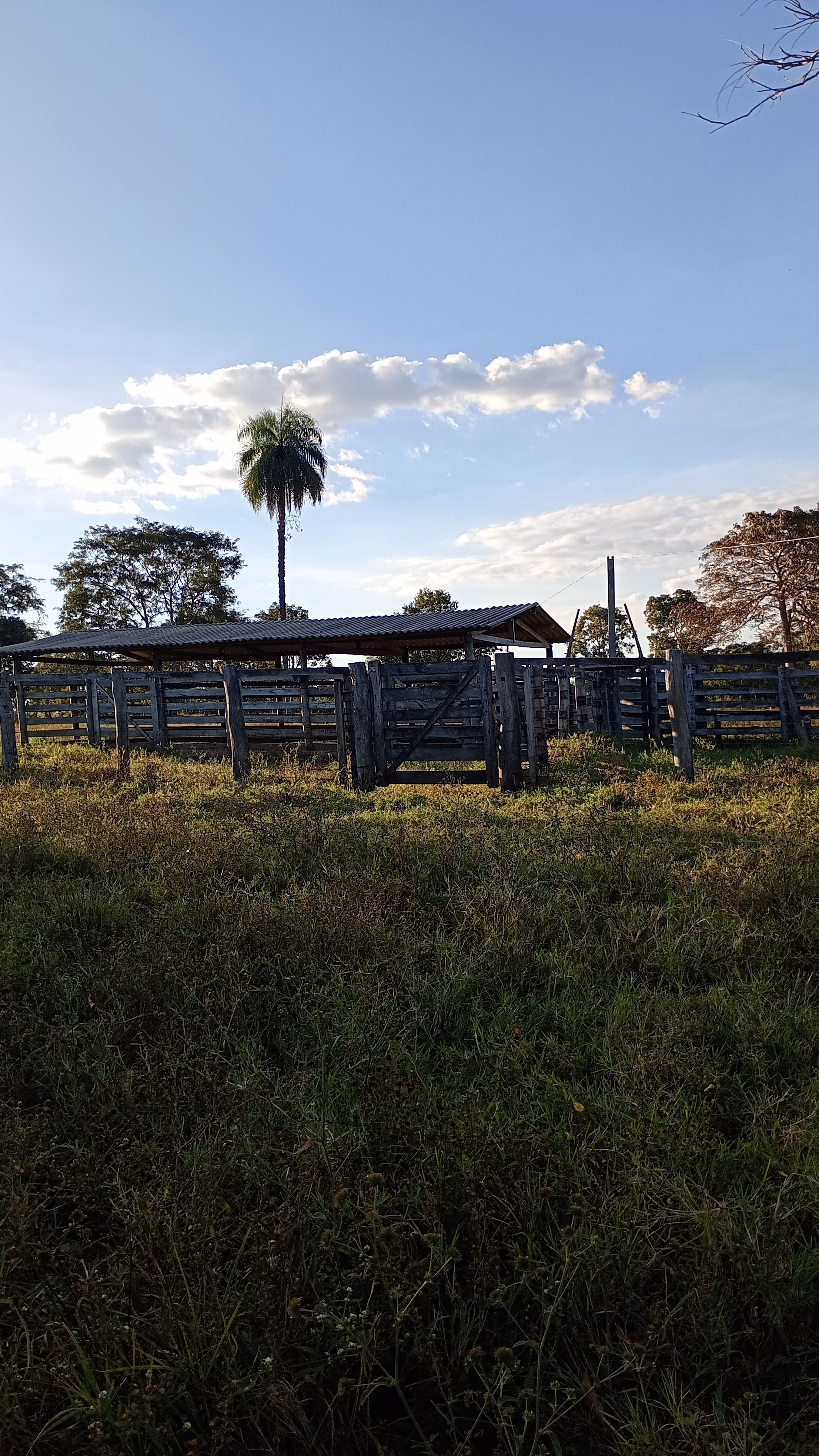 Chácara de 10 ha em Itacajá, TO