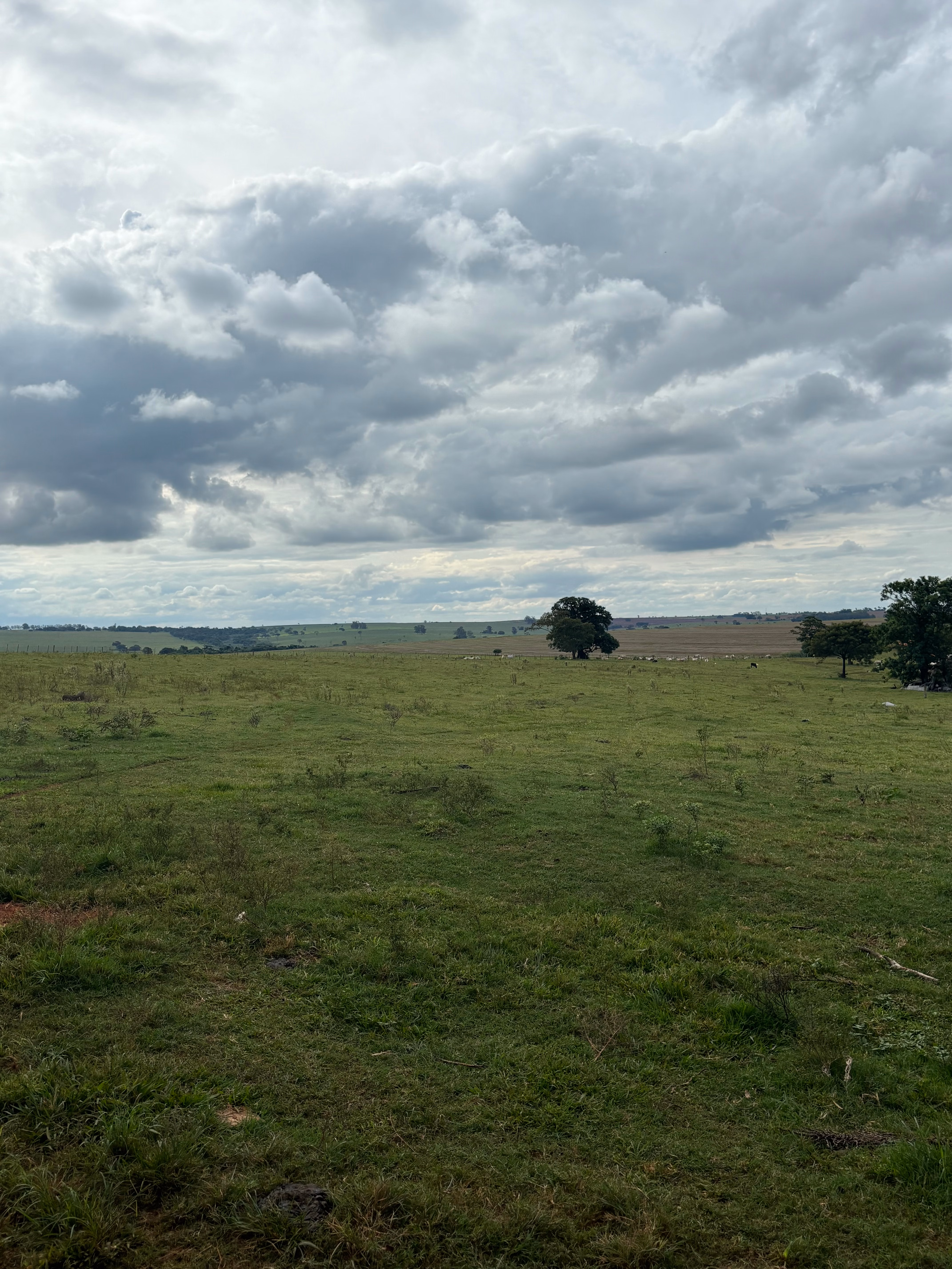 Sítio de 8 ha em Estrela do Norte, SP
