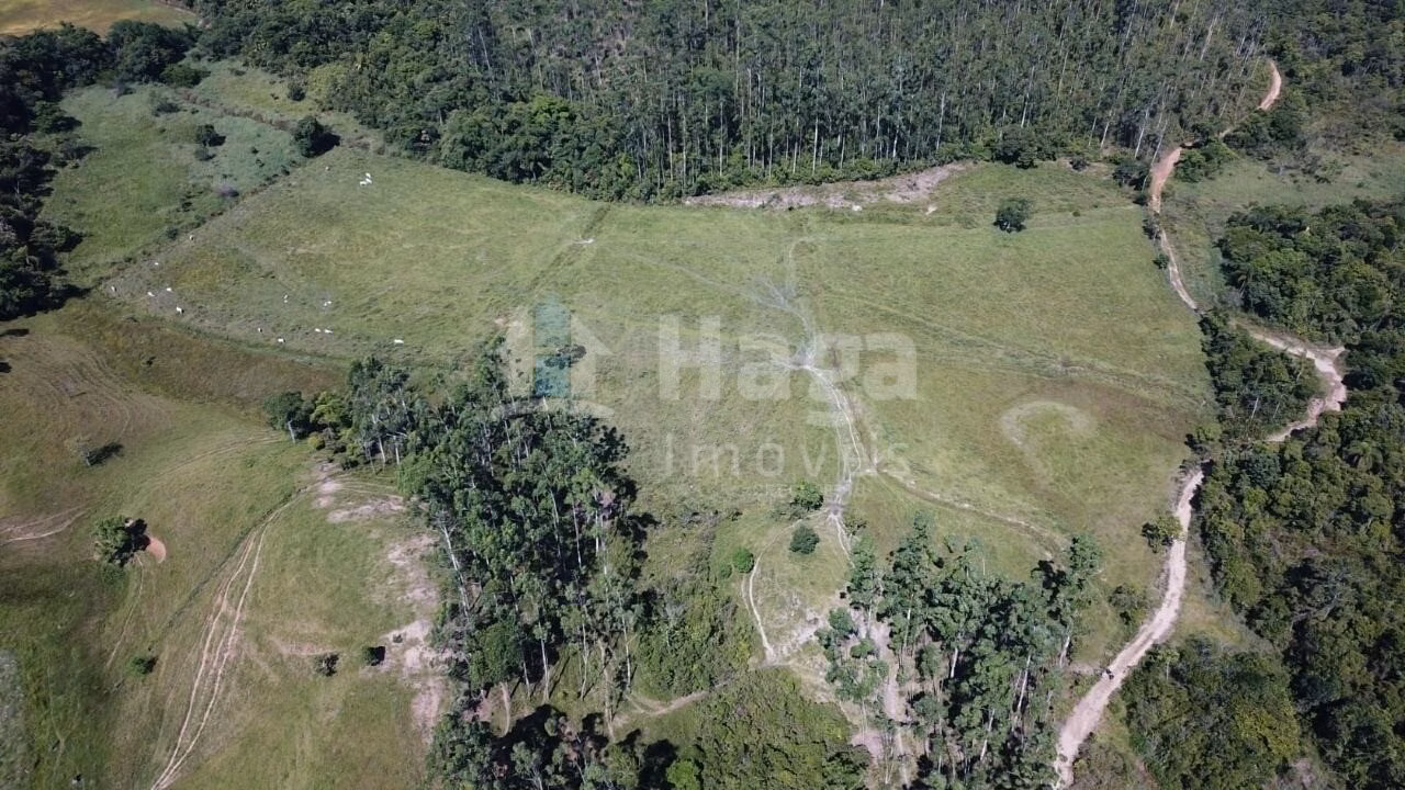 Farm of 54 acres in Canelinha, SC, Brazil