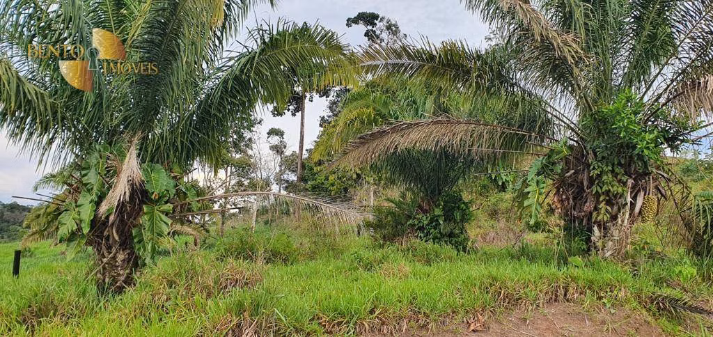 Fazenda de 1.760 ha em Comodoro, MT