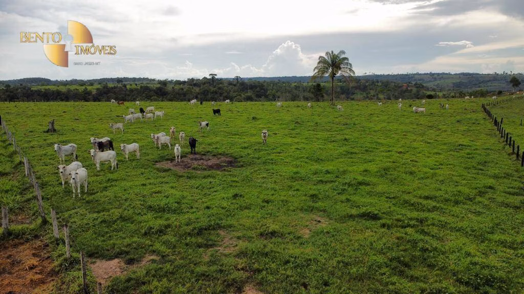 Fazenda de 1.760 ha em Comodoro, MT
