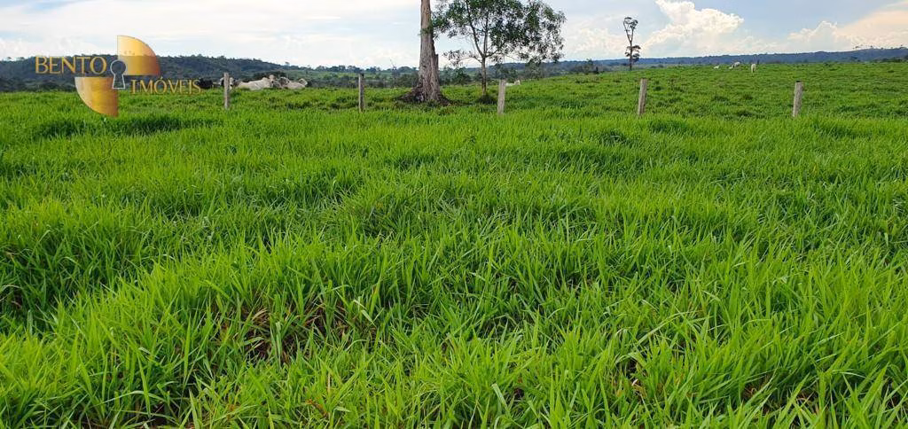 Fazenda de 1.760 ha em Comodoro, MT