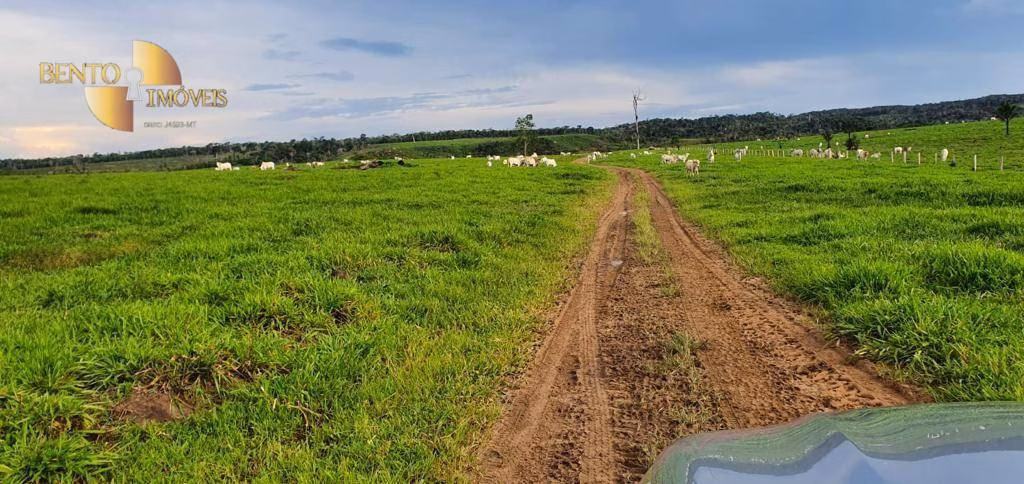 Fazenda de 1.760 ha em Comodoro, MT