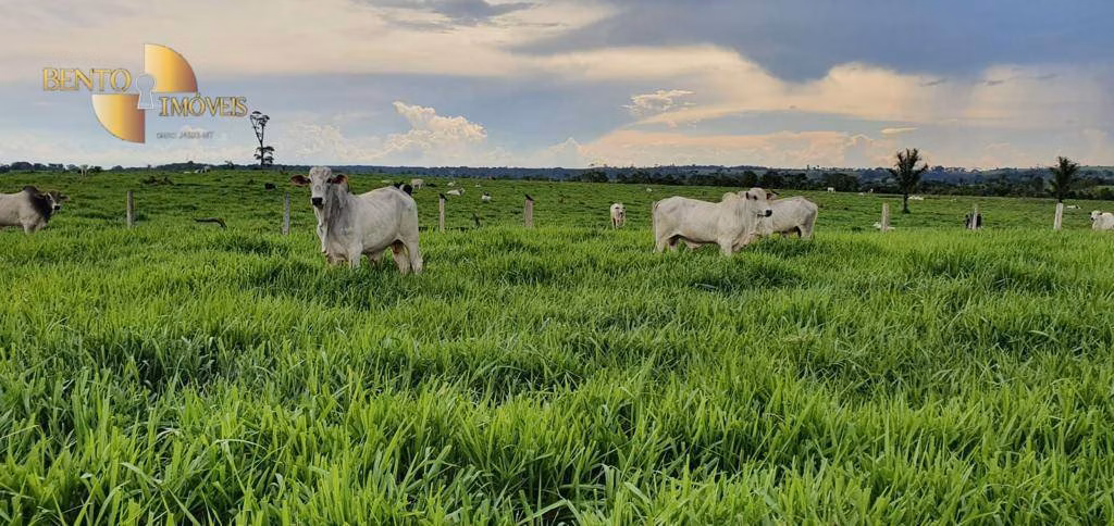 Farm of 4.349 acres in Comodoro, MT, Brazil