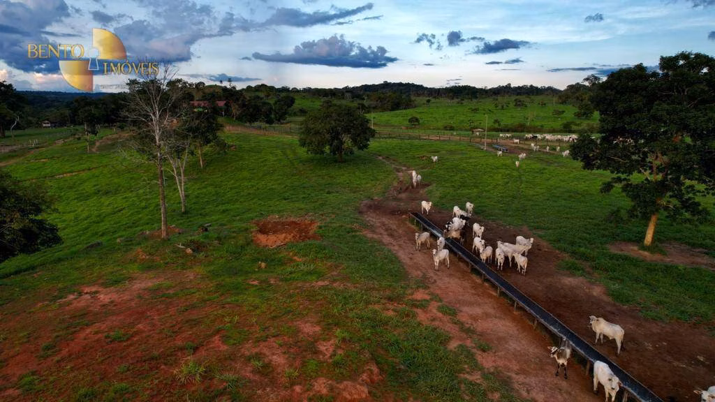 Fazenda de 1.760 ha em Comodoro, MT
