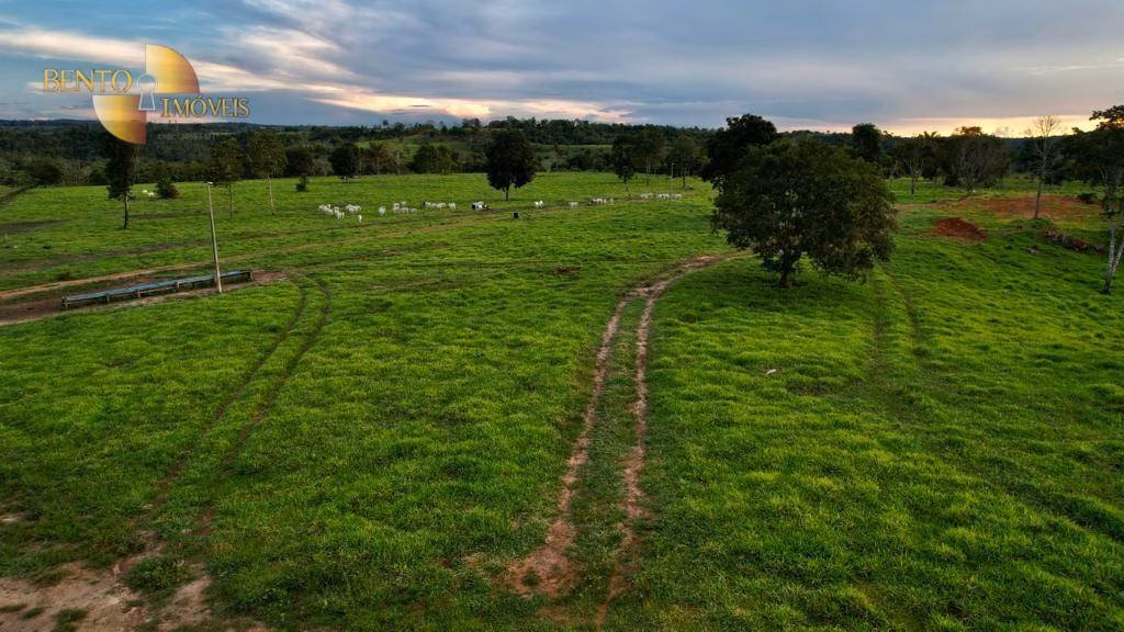Fazenda de 1.760 ha em Comodoro, MT