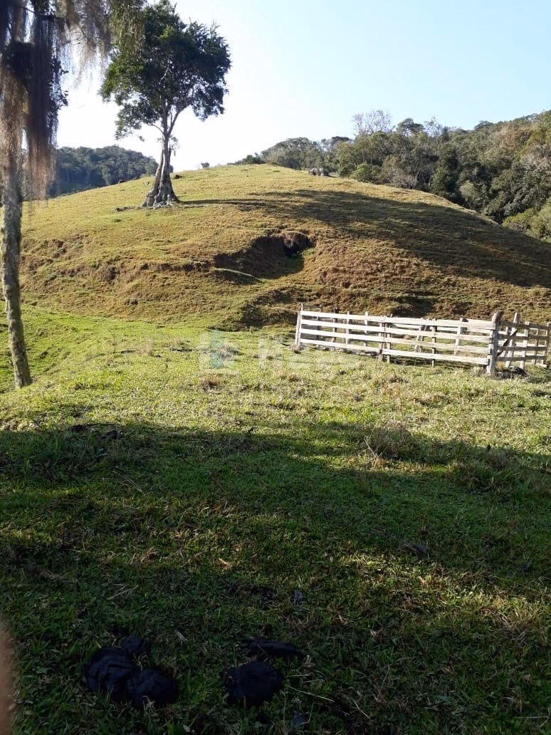 Chácara de 35 ha em Angelina, SC