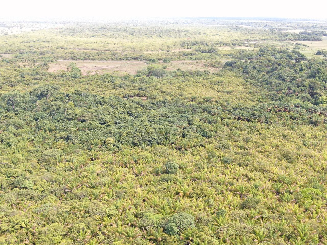 Fazenda de 305 ha em Cantá, RR