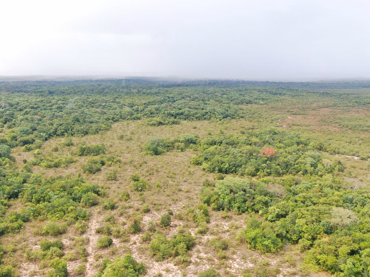 Fazenda de 305 ha em Cantá, RR