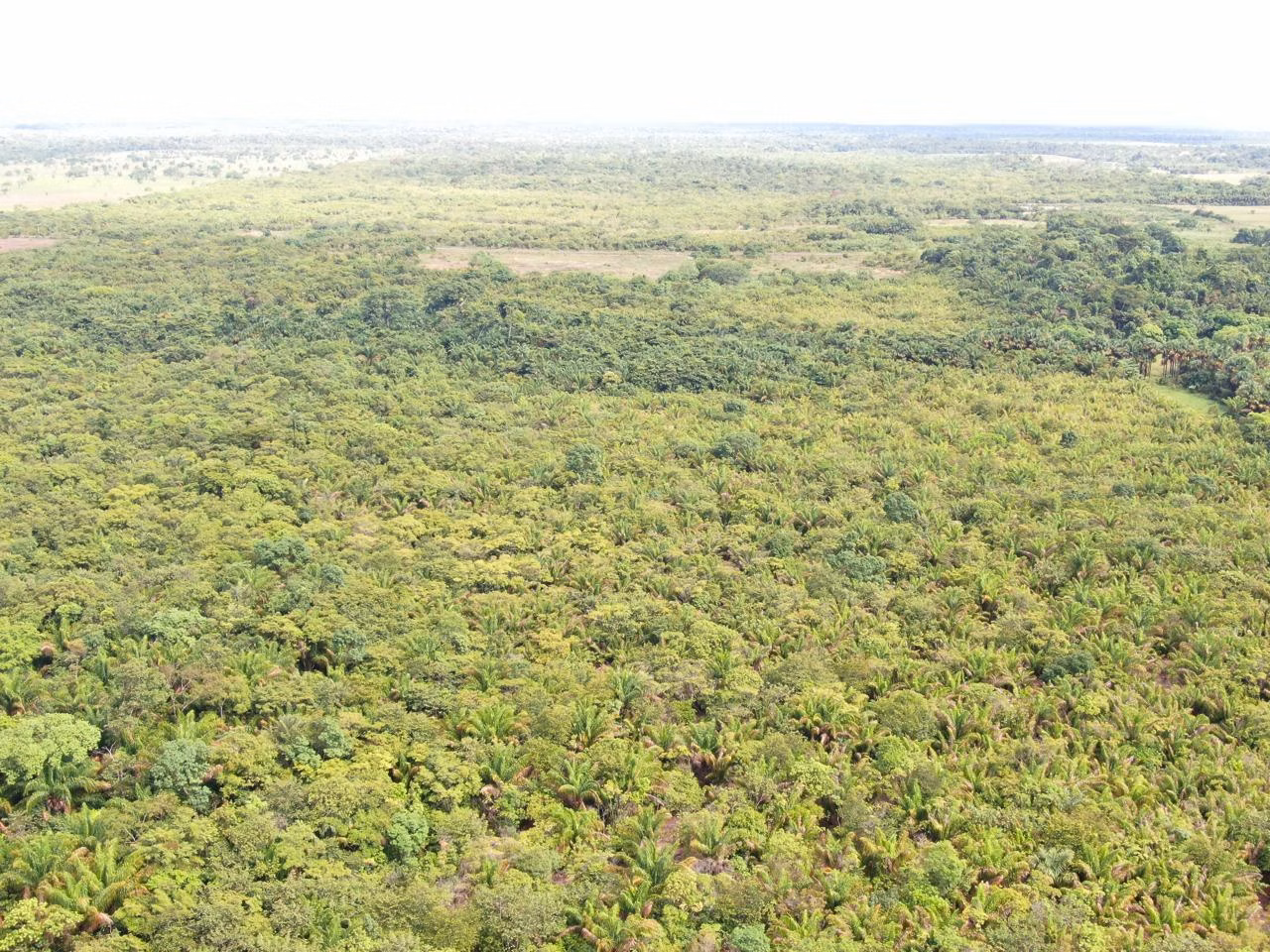 Farm of 754 acres in Cantá, RR, Brazil