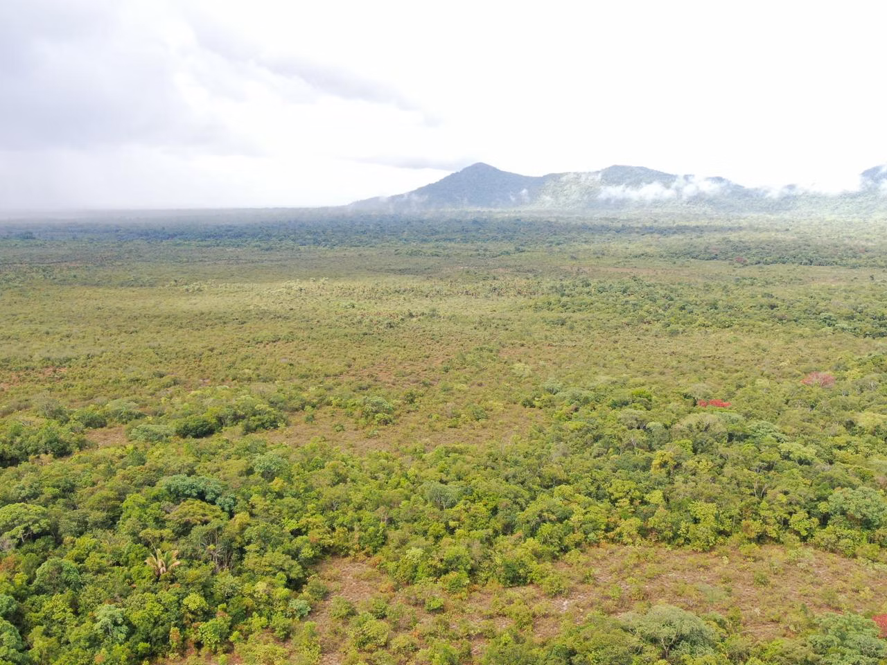 Fazenda de 305 ha em Cantá, RR