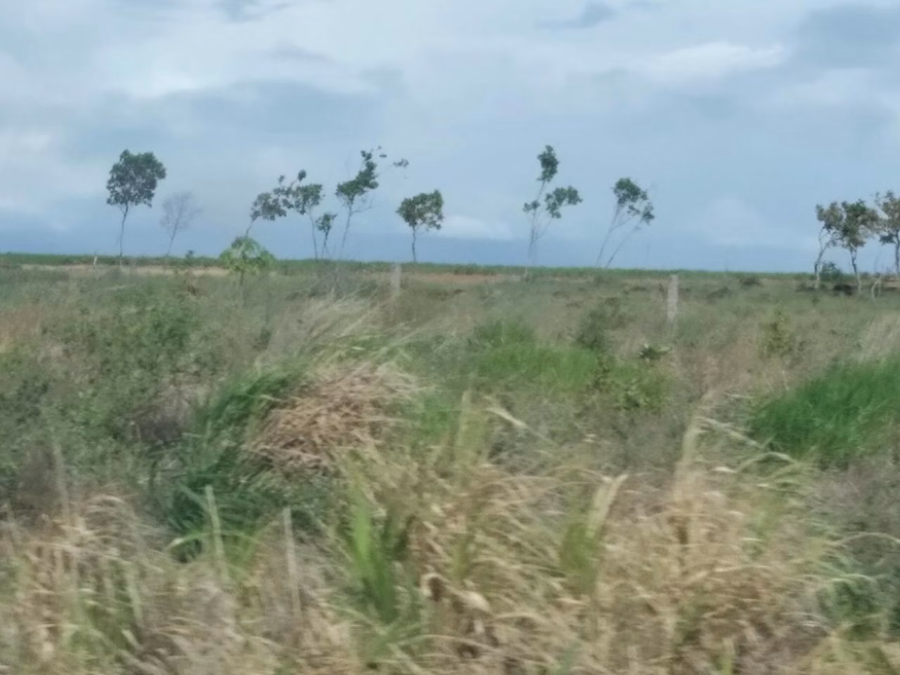 Fazenda de 305 ha em Cantá, RR