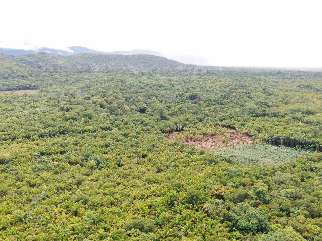 Fazenda de 305 ha em Cantá, RR