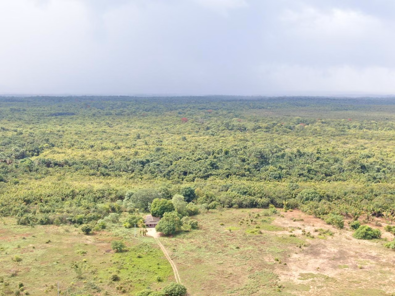 Fazenda de 305 ha em Cantá, RR