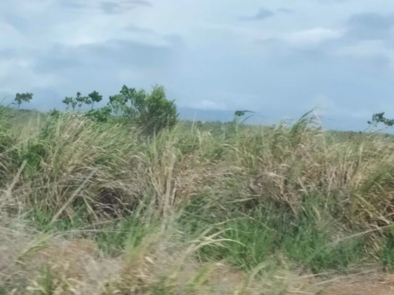 Farm of 754 acres in Cantá, RR, Brazil