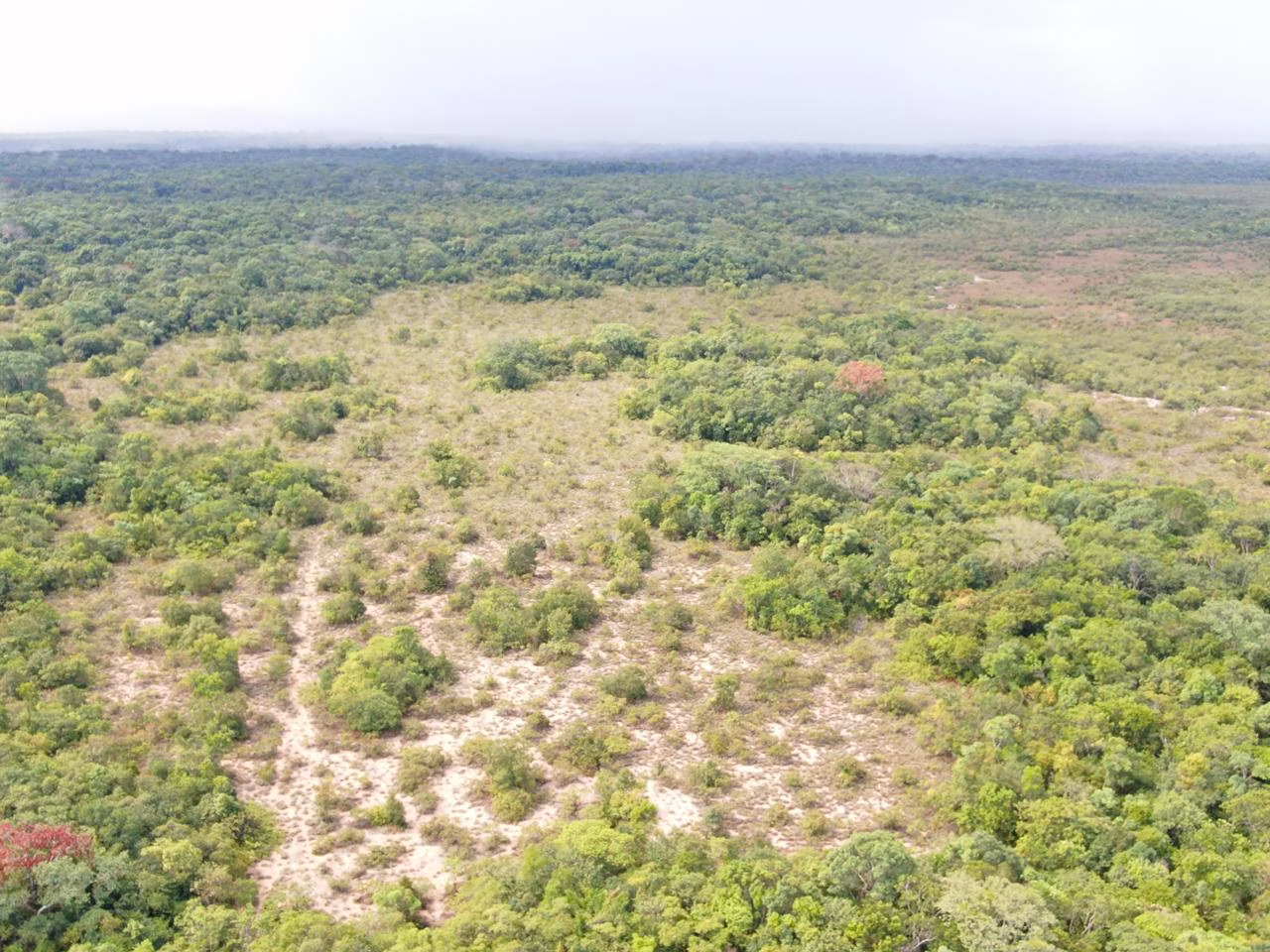 Fazenda de 305 ha em Cantá, RR