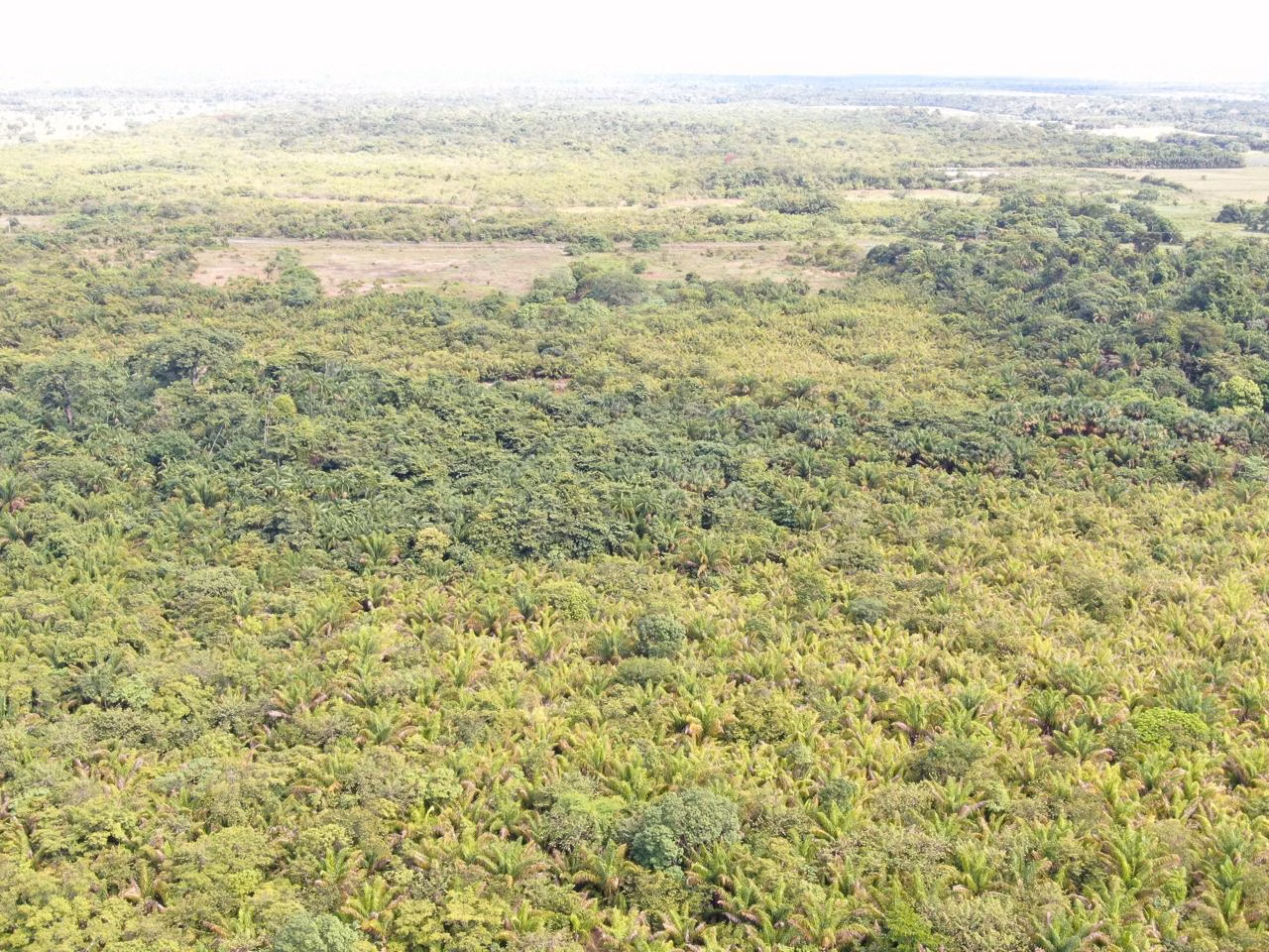 Fazenda de 305 ha em Cantá, RR