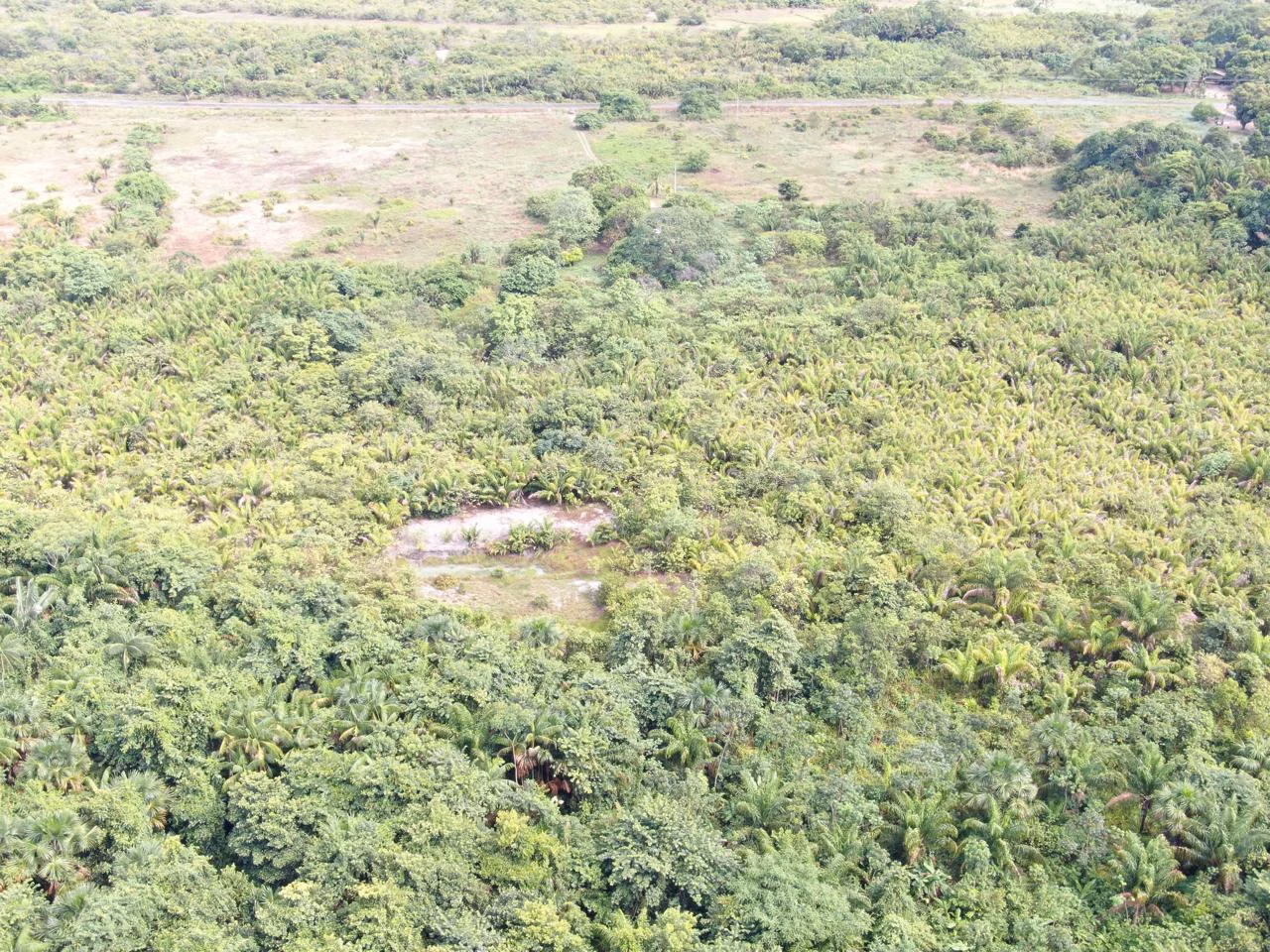 Farm of 754 acres in Cantá, RR, Brazil