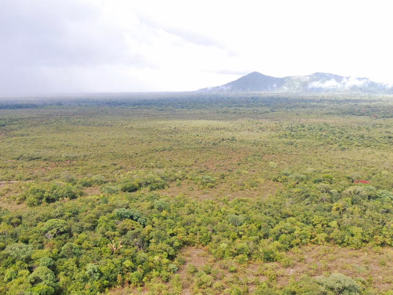 Farm of 754 acres in Cantá, RR, Brazil