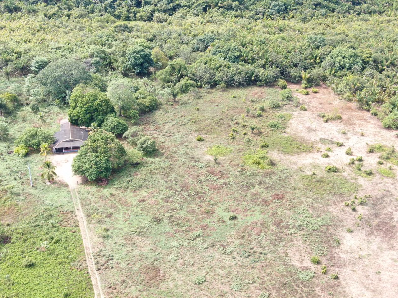Fazenda de 305 ha em Cantá, RR